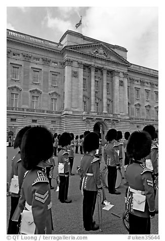 Musicians of the guard during the guard mounting in front of Buckingham Palace. London, England, United Kingdom (black and white)