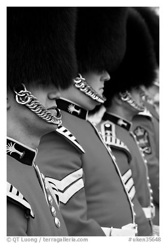 Guards with tall bearskin hat and red tunic standing in a row. London, England, United Kingdom