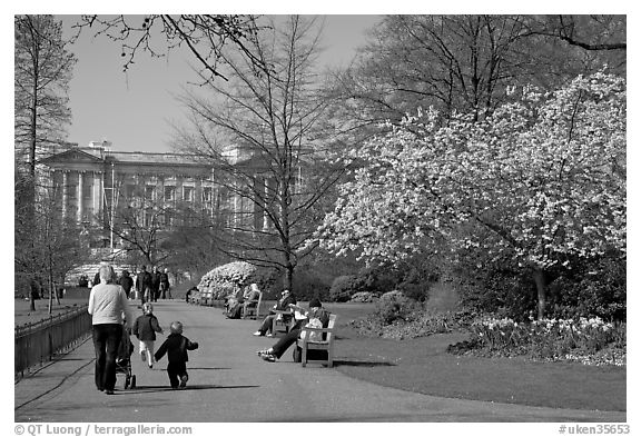 Pathway in Saint James Park in spring with Buckingham Palace in the background. London, England, United Kingdom (black and white)