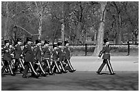 Guards marching near Buckingham Palace. London, England, United Kingdom ( black and white)