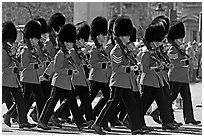 Guards with tall bearskin hats  marching near Buckingham Palace. London, England, United Kingdom (black and white)