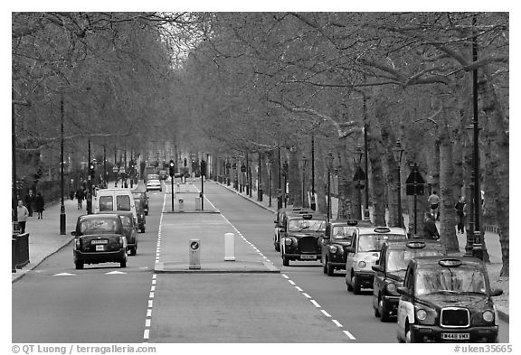 Black cabs and street near Saint James Park with. London, England, United Kingdom (black and white)