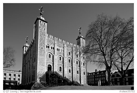 White Tower and tree, the Tower of London. London, England, United Kingdom (black and white)