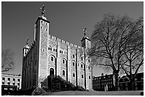 White Tower and tree, the Tower of London. London, England, United Kingdom ( black and white)