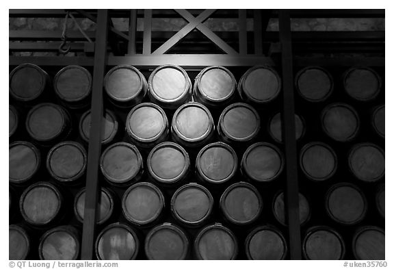 Barrels of gunpowder in the White House, Tower of London. London, England, United Kingdom (black and white)