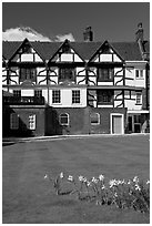 Daffodils on Tower Green, Tower of London. London, England, United Kingdom (black and white)