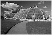 Palm House, built mid 19th century, first large-scale structural use of wrought iron. Kew Royal Botanical Gardens,  London, England, United Kingdom (black and white)