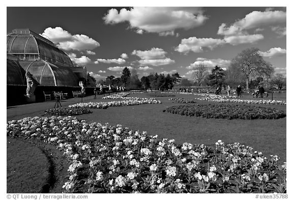 Flower bed and Palm House, afternoon. Kew Royal Botanical Gardens,  London, England, United Kingdom (black and white)