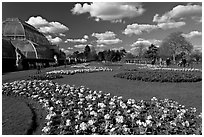 Flower bed and Palm House, afternoon. Kew Royal Botanical Gardens,  London, England, United Kingdom ( black and white)