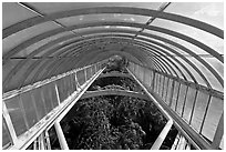 Wrought iron roof of the Palm House. Kew Royal Botanical Gardens,  London, England, United Kingdom ( black and white)