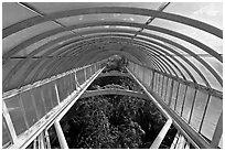 Wrought iron roof of the Palm House. Kew Royal Botanical Gardens,  London, England, United Kingdom (black and white)