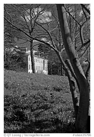 Trees framing Museum No 1. Kew Royal Botanical Gardens,  London, England, United Kingdom (black and white)