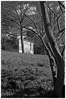 Trees framing Museum No 1. Kew Royal Botanical Gardens,  London, England, United Kingdom (black and white)