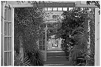 Long central path in the Temperate House. Kew Royal Botanical Gardens,  London, England, United Kingdom ( black and white)