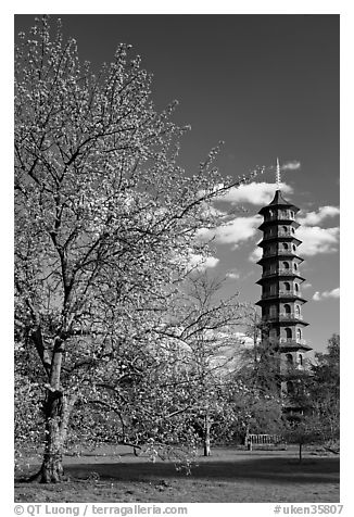 Great Pagoda by William Chambers. Kew Royal Botanical Gardens,  London, England, United Kingdom (black and white)