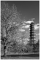 Great Pagoda by William Chambers. Kew Royal Botanical Gardens,  London, England, United Kingdom (black and white)