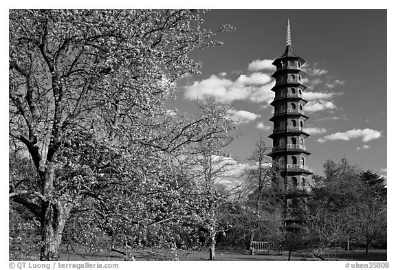 Great Pagoda designed after the Chinese Taa. Kew Royal Botanical Gardens,  London, England, United Kingdom