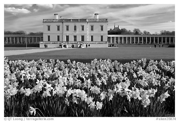 Queen's House and colonnades of the Royal Maritime Museum, with Daffodils in foreground. Greenwich, London, England, United Kingdom (black and white)