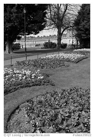 Flowers in park, with Royal Crescent in the background. Bath, Somerset, England, United Kingdom (black and white)