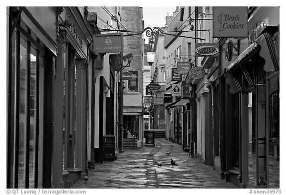 Shops lining narrow street. Bath, Somerset, England, United Kingdom (black and white)