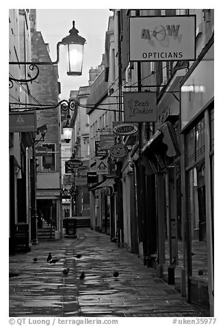 Lamps, pigeons, and narrow street. Bath, Somerset, England, United Kingdom (black and white)