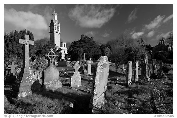 Stone tombs and grasses below Beckford tower, morning. Bath, Somerset, England, United Kingdom