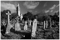 Stone tombs and grasses below Beckford tower, morning. Bath, Somerset, England, United Kingdom (black and white)