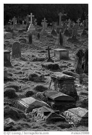 Tombs and grasses. Bath, Somerset, England, United Kingdom (black and white)