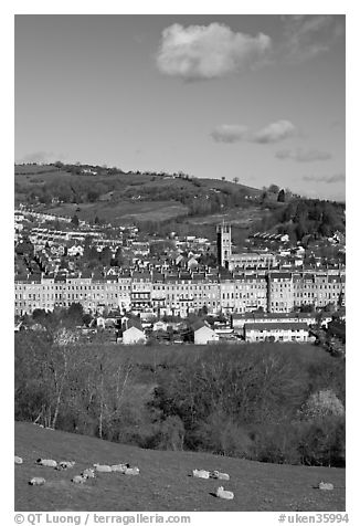 Sheep and distant view of town. Bath, Somerset, England, United Kingdom