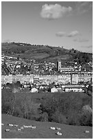 Sheep and distant view of town. Bath, Somerset, England, United Kingdom (black and white)