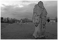 Circle of standing stones in pasture, Avebury, Wiltshire. England, United Kingdom (black and white)