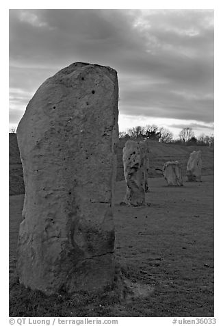 Megaliths forming part of a 348-meter diameter stone circle, sunset, Avebury, Wiltshire. England, United Kingdom (black and white)