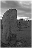 Megaliths forming part of a 348-meter diameter stone circle, sunset, Avebury, Wiltshire. England, United Kingdom ( black and white)