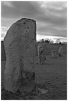 Megaliths forming part of a 348-meter diameter stone circle, sunset, Avebury, Wiltshire. England, United Kingdom (black and white)