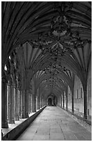 Cloister gallery, Canterbury Cathedral. Canterbury,  Kent, England, United Kingdom ( black and white)