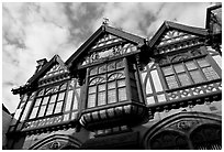 Beaney Institute. Canterbury,  Kent, England, United Kingdom (black and white)