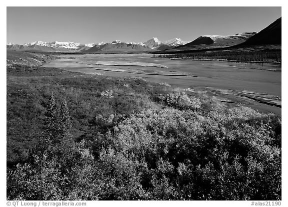Susitna River and fall colors on the tundra, Denali Highway. Alaska, USA (black and white)