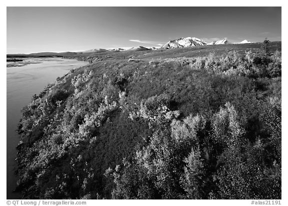 Susitna River and autumn colors on the tundra. Alaska, USA (black and white)