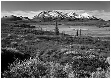 Tundra and snowy mountains. Alaska, USA ( black and white)