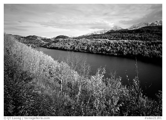 Long Lake surrounded by aspens in autumn color. Alaska, USA (black and white)
