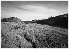 Matanuska River valley and aspens in fall color. Alaska, USA ( black and white)