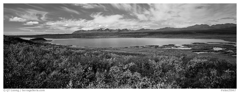 Tundra landscape with lake in autumn. Alaska, USA (black and white)