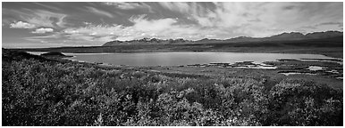 Tundra landscape with lake in autumn. Alaska, USA (Panoramic black and white)