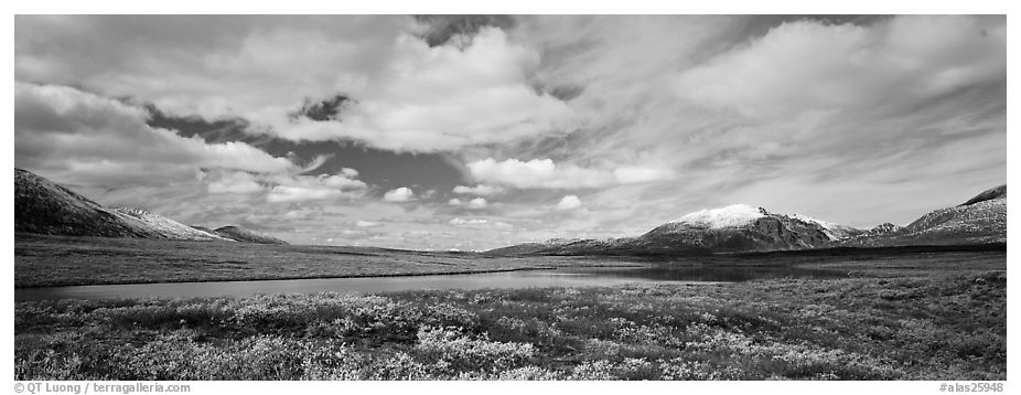Tundra landscape and clouds in autumn. Alaska, USA (black and white)