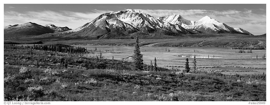 Tundra autumn scenery with snowy peaks. Alaska, USA (black and white)