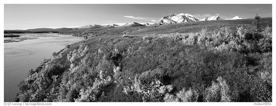 Tundra fall scenery with bright colors and river. Alaska, USA (black and white)