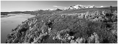 Tundra fall scenery with bright colors and river. Alaska, USA (Panoramic black and white)