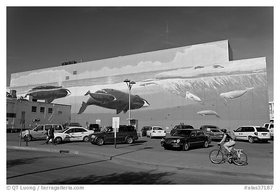 Parking lot with whale mural in background. Anchorage, Alaska, USA (black and white)