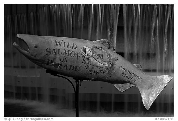 Salmon sculpture. Anchorage, Alaska, USA (black and white)