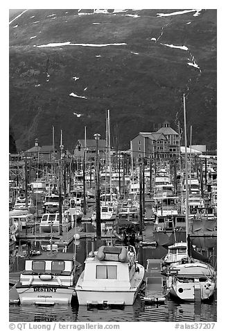 Yachts anchored in small boat harbor. Whittier, Alaska, USA